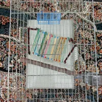 قفس پرنده|لوازم جانبی حیوانات|پاکدشت, پاکدشت (مامازند)|دیوار