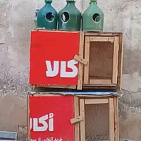 جفت کنی نو نو