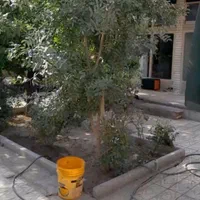 فروش و اجاره منزل مسکونی ویلایی ۳۰۰ متری|فروش خانه و ویلا|اصفهان, جنیران (لادان)|دیوار