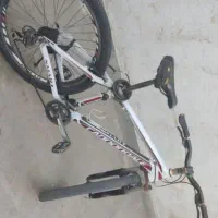 دوچرخه Cannondale Smart حرفهای و سرحال