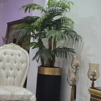 درختچه مصنوعی کنتیا سه تنه به همراه گلدان وارداتی|گل مصنوعی|بابل, |دیوار