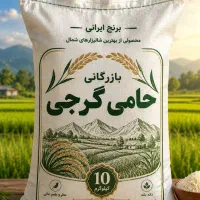طارم هاشمی