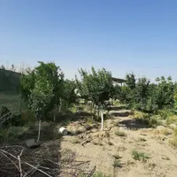 فروش زمین ۳۰۰ متری در فیروز بهرام|فروش زمین و ملک کلنگی|تهران, شهرک طالقانی|دیوار