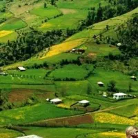 زمین  مسکونی فروشی
