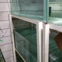 پایه اکواریوم پرورش ماهیان زینتی|ماهی|قم, باغ شریفی|دیوار