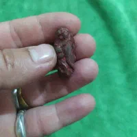 مهره هبهاب|کلکسیون اشیاء عتیقه|مهران (ایلام), |دیوار