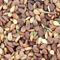 فروش کنجد|عمده‌فروشی|لار, |دیوار