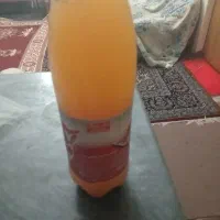 محصولات ارگانیک و خانگی