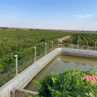 باغ انگور پیشرفته