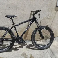 دوچرخه فونیکس ۲۶