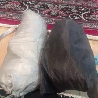 کفش و تجهیزات اسکیت|دوچرخه، اسکیت، اسکوتر|تهران, آذربایجان|دیوار