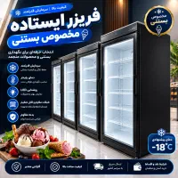 فریزر ایستاده مخصوص پروتئین و بستنی