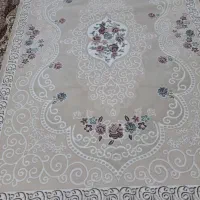 فرش  فانتزی تمیز|فرش|قم, کلهری|دیوار