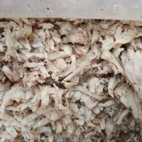 تفاله|لوازم جانبی حیوانات|نوشین شهر, |دیوار