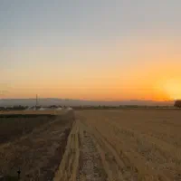 زمین-کشاورزی