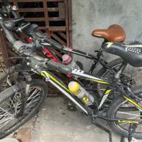 دوچرخه حرفه ای