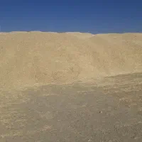 فروش کاه سفید دیم