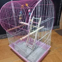 قفس پرنده|لوازم جانبی حیوانات|رشت, معلولین|دیوار