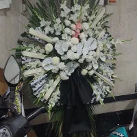 تاج گل|گل و گیاه طبیعی|تهران, باغ خزانه|دیوار