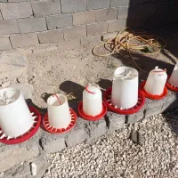 دونخوری و آبخوری