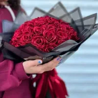 همراه شادی لحظه ها