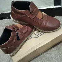 کفش|کیف، کفش، کمربند|دزفول, |دیوار