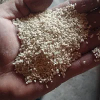 خرده برنج شمشیری