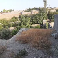 باغچه ۲۶۰ متری|فروش زمین و ملک کلنگی|هشتگرد, کوشک زر|دیوار