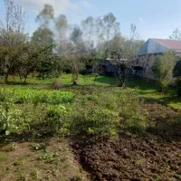 ویلا باغ ۱۰۰۰متری محدوده دلباز دل طبعیت/آناملک|فروش خانه و ویلا|رشت, شهرک قدس|دیوار