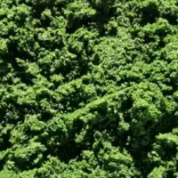 خردکردن سبزی|خردکن، آسیاب، غذاساز|ایلام, |دیوار