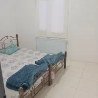 خونه نو ساز|اجارهٔ کوتاه‌مدت آپارتمان و سوئیت|سرعین, |دیوار