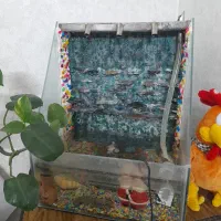 آبنما|ماهی|مشهد, شفا|دیوار