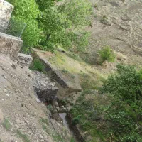 فروش باغچه ۷۰۰ متری با درخت قدیمی