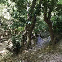 باغشهر-اول-جاده-کوهمره