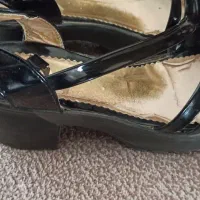 کفش مجلسی|کیف، کفش، کمربند|اردکان, |دیوار