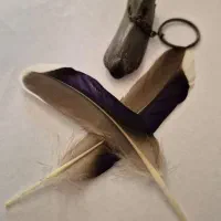 سر کلیدی نوک اردک طبیعی