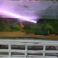 اکواریوم با وسایل کامل