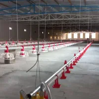 فروش آبخوری و دانخوری اتومات مرغداری گوشتی