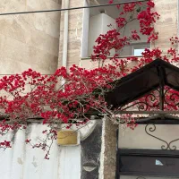 ویلایی-تنهاتر-با2-آپارتمان-یا-نقدی