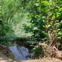 باغ لب آب از دم قسط  شرایطی