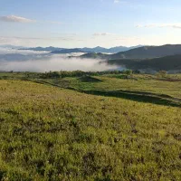 زمین برای بستان میگردم