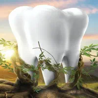 استخدام سوپروایزر دندانپزشکی