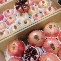 توزیع انواع میوه به مغازه داران و ارگان های دولتی|عمدهفروشی|تهران, میدان میوه و ترهبار مرکزی|دیوار