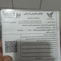 سندیکای برگ۳۴۱متر