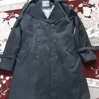 پالتو