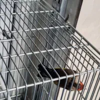 سهره|پرنده|تهران, شیوا|دیوار