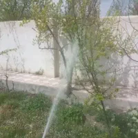 سمپاشی باغات درختان میوه مزارع گل و گیاه