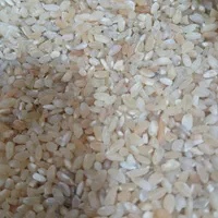 برنج|خوردنی و آشامیدنی|ایلام, |دیوار