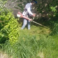 سم پاشی و علف زنی