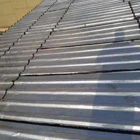 نصب ایزوگام دلیجان قیر گونی لکه گیری حتی یک متر|خدمات پیشه و مهارت|تهران, تهران‌نو|دیوار